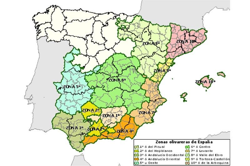 Donde-se-cultiva-el-olivo